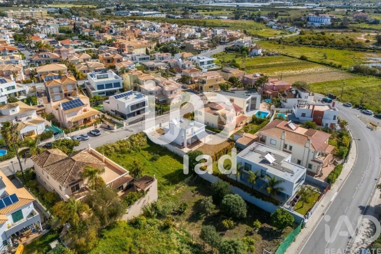 Terreno para Venda em Montenegro Foto 8