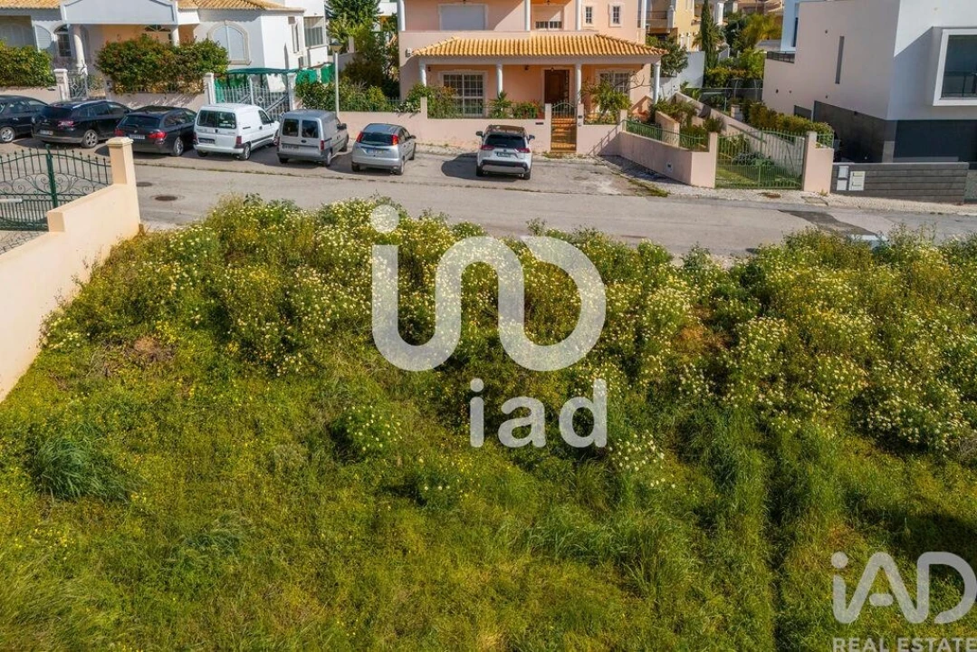 Terreno para Venda em Montenegro Foto 16