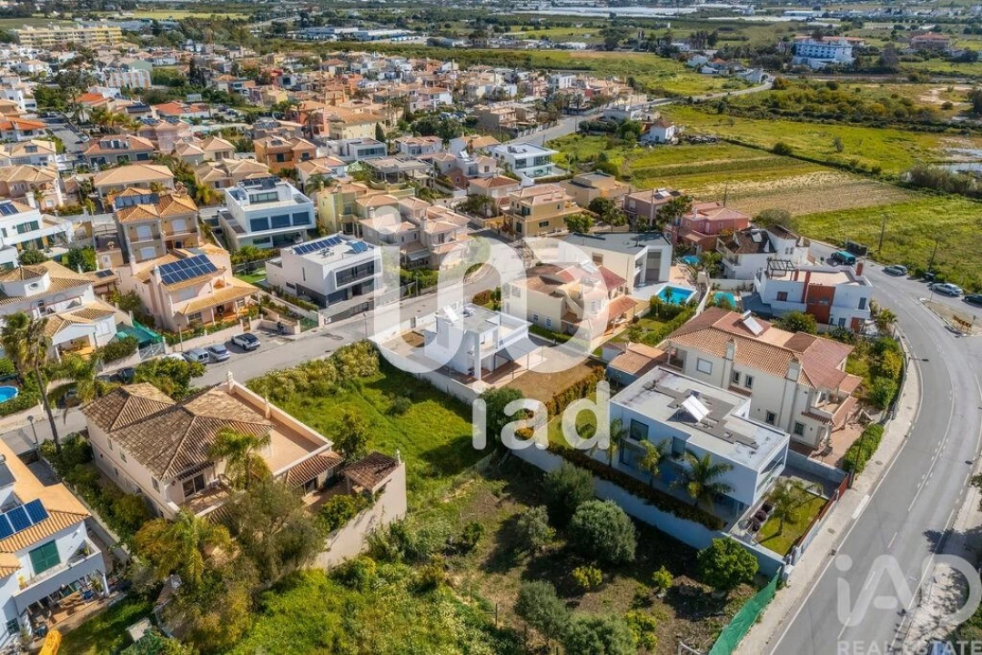 Terreno para Venda em Montenegro Foto 8