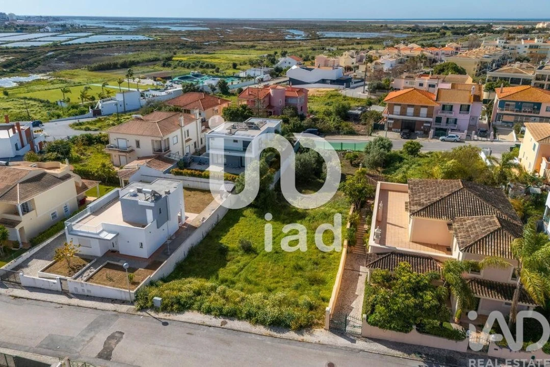 Terreno para Venda em Montenegro Foto 2