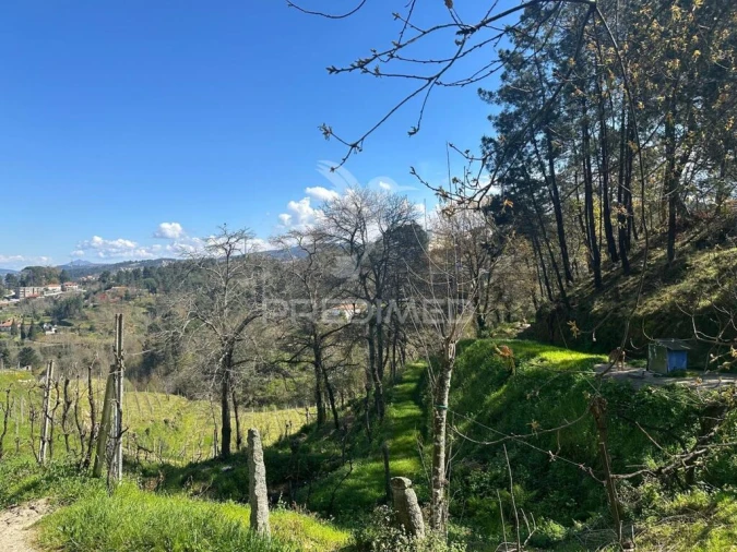 Terreno para Venda em Amarante (São Gonçalo), Madalena, Cepelos e Gatão Foto 3