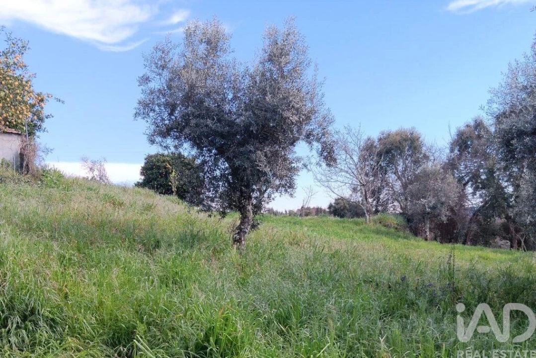 Terreno para Venda em Graça Foto 19