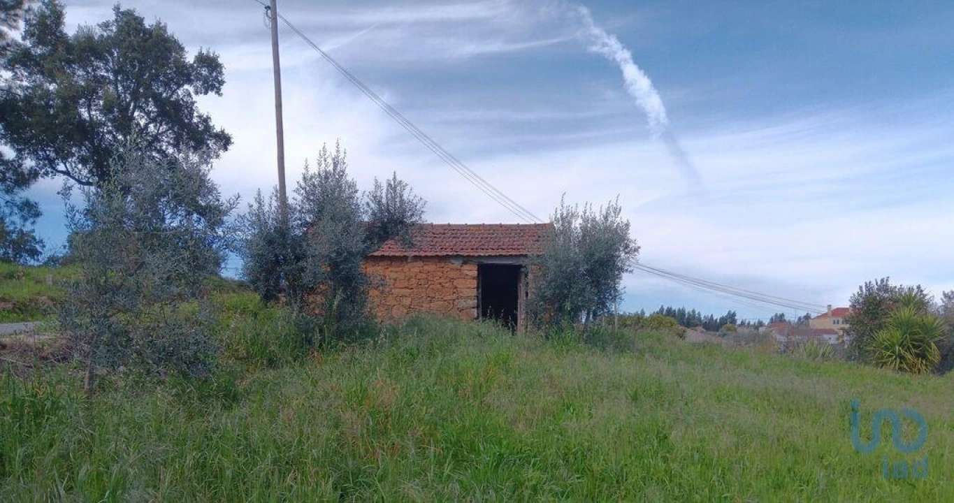 Terreno para Venda em Graça Foto 6