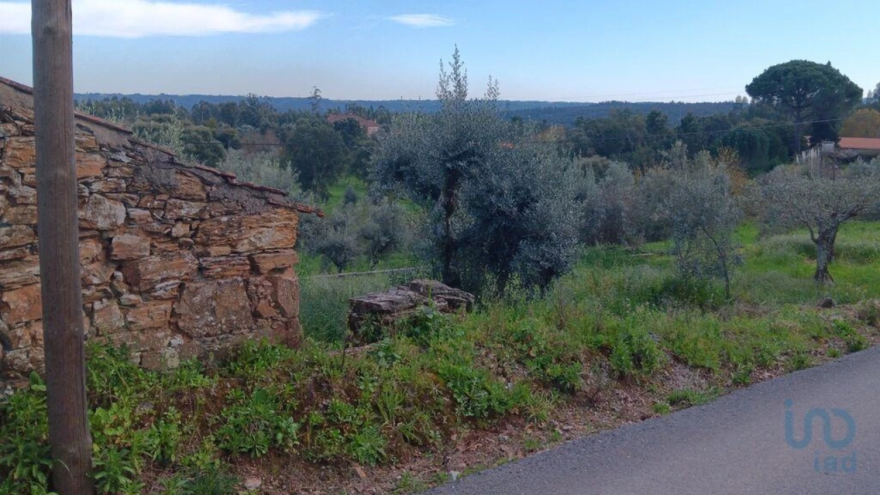 Terreno para Venda em Graça Foto 10
