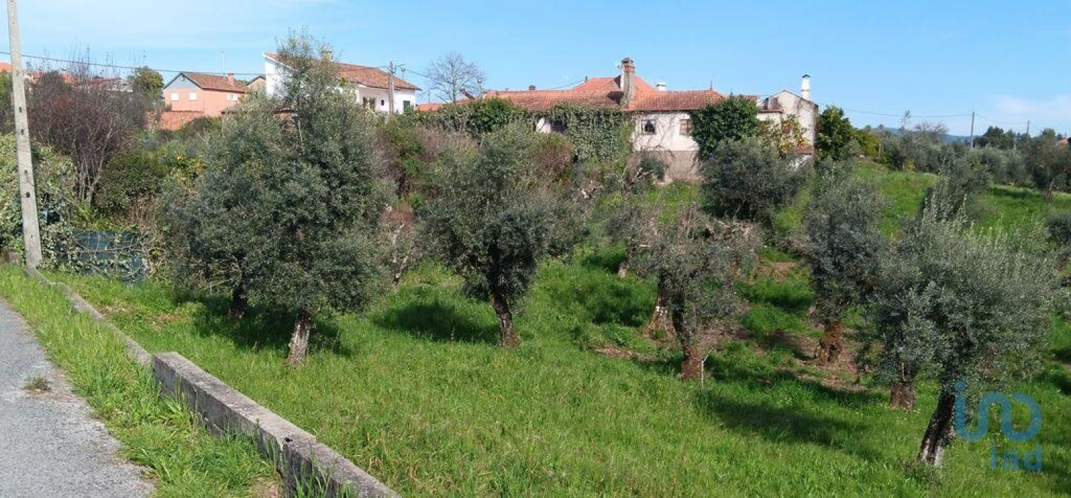 Terreno para Venda em Graça Foto 3