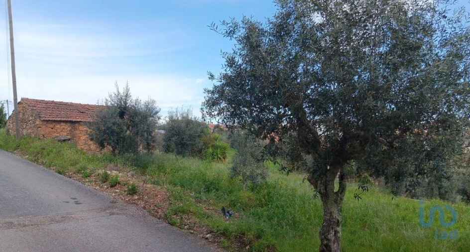 Terreno para Venda em Graça Foto 12