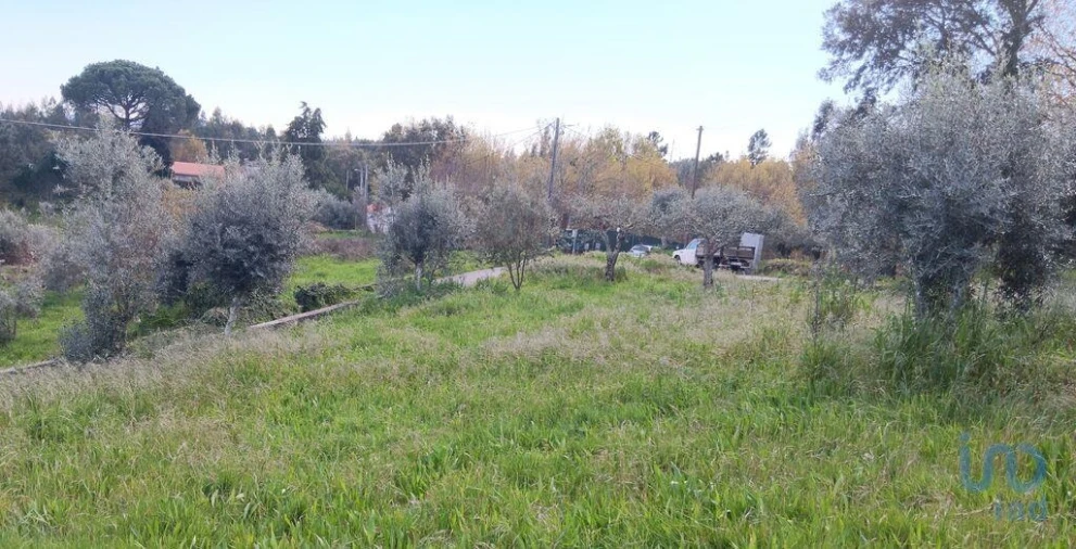 Terreno para Venda em Graça Foto 9