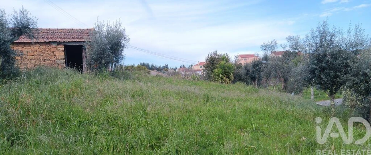 Terreno para Venda em Graça Foto 29