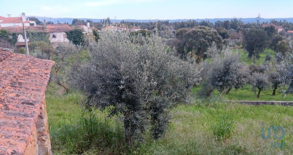 Terreno para Venda em Graça Foto 11
