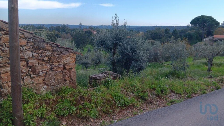 Terreno para Venda em Graça Foto 10