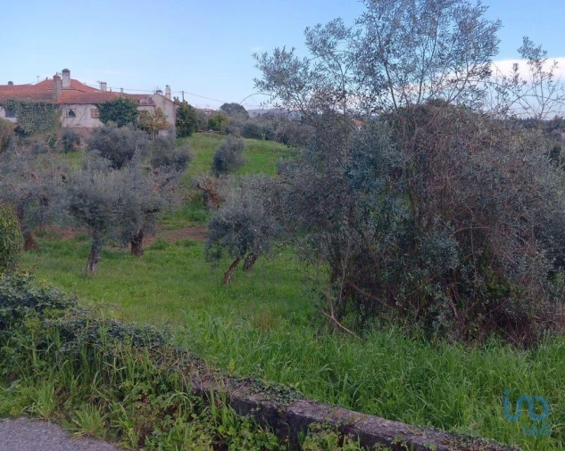 Terreno para Venda em Graça Foto 13
