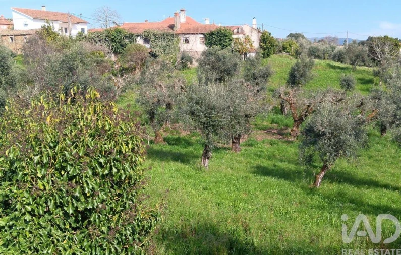 Terreno para Venda em Graça Foto 27