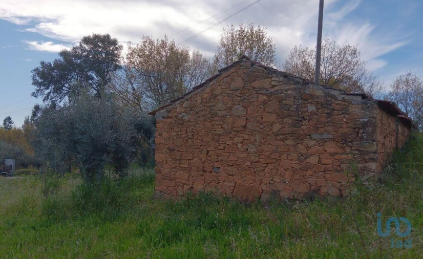 Terreno para Venda em Graça Foto 8