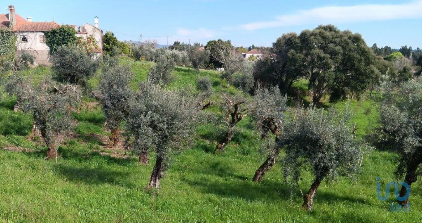 Terreno para Venda em Graça Foto 1