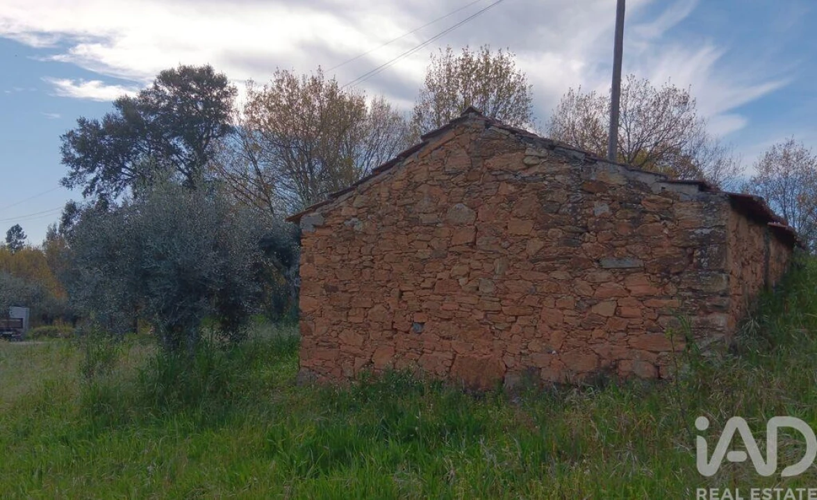 Terreno para Venda em Graça Foto 28