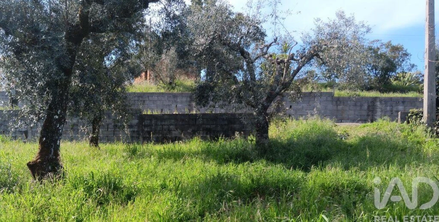 Terreno para Venda em Graça Foto 25