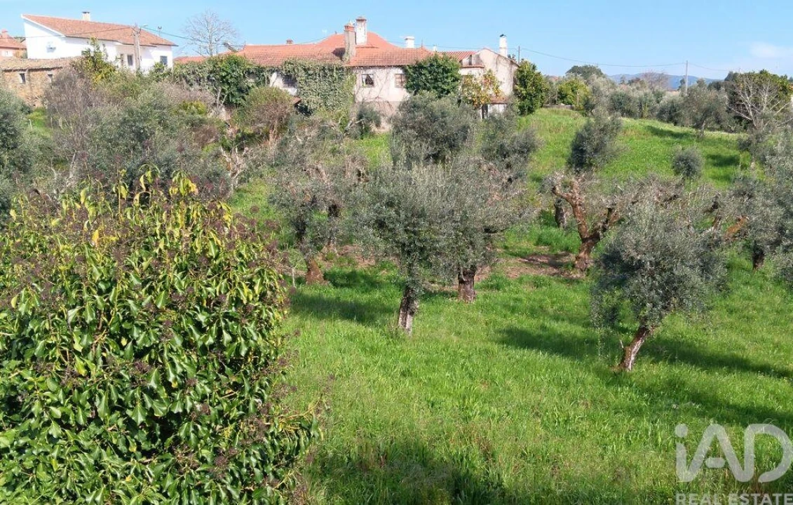 Terreno para Venda em Graça Foto 27