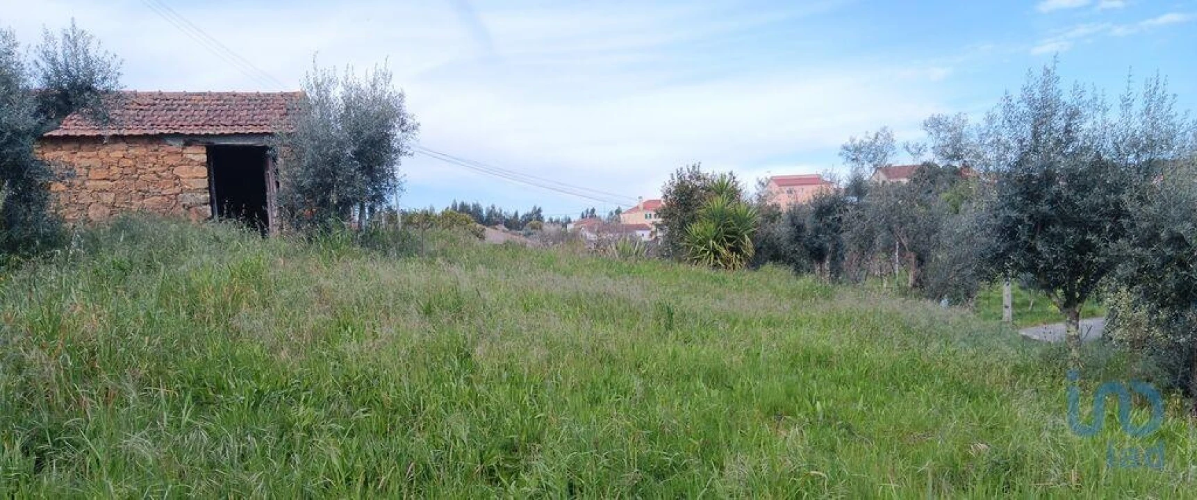 Terreno para Venda em Graça Foto 4