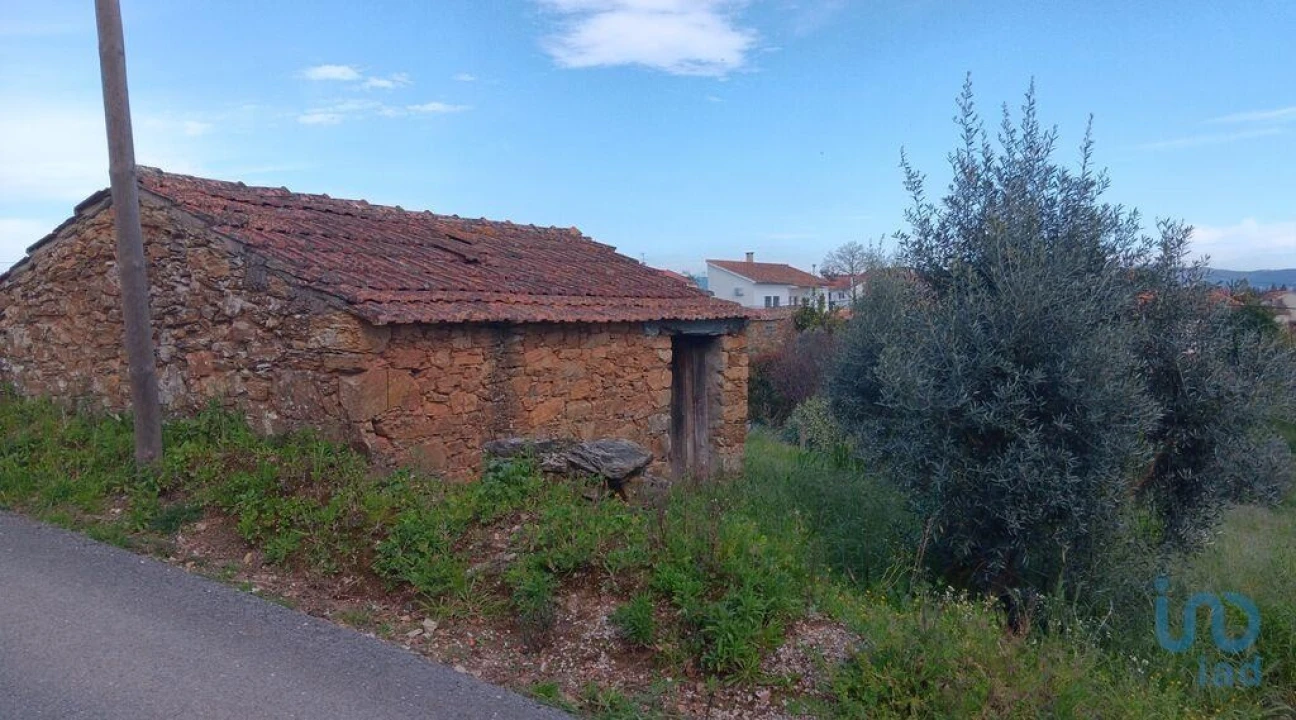 Terreno para Venda em Graça Foto 7