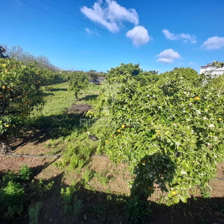 Terreno para Venda em Conceição e Estoi Foto 1