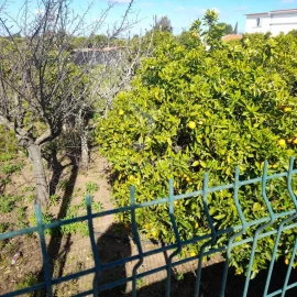 Terreno para Venda em Conceição e Estoi