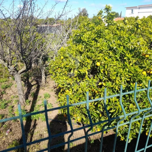 Terreno para Venda em Conceição e Estoi Foto 6