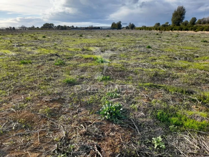 Terreno para Venda em Conceição e Estoi Foto 4