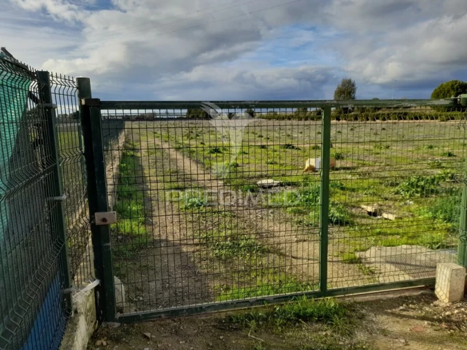 Terreno para Venda em Conceição e Estoi Foto 3