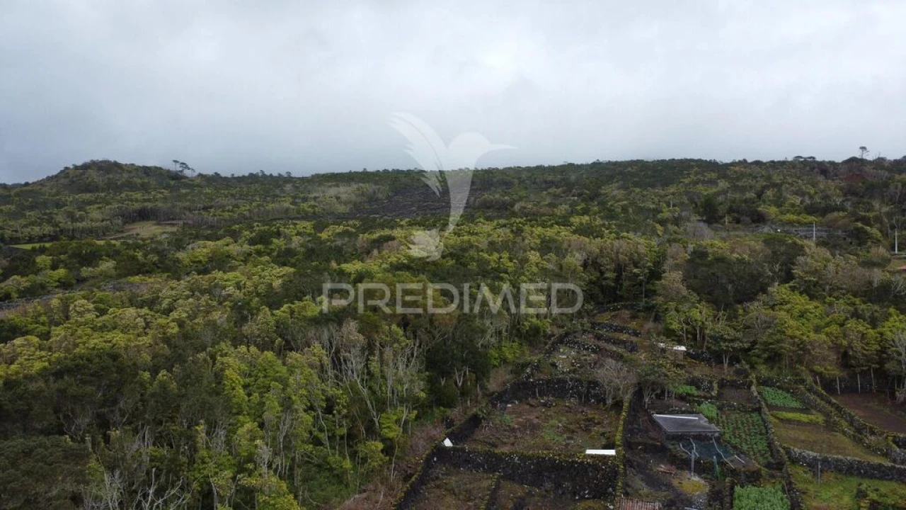 Terreno para Venda em Candelaria Foto 3