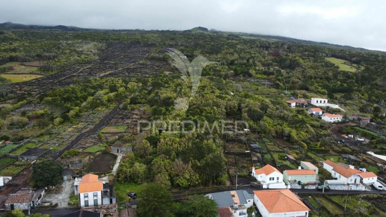 Terreno para Venda em Candelaria Foto 6