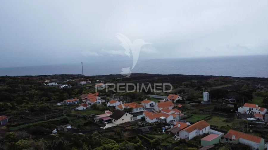 Terreno para Venda em Candelaria Foto 4