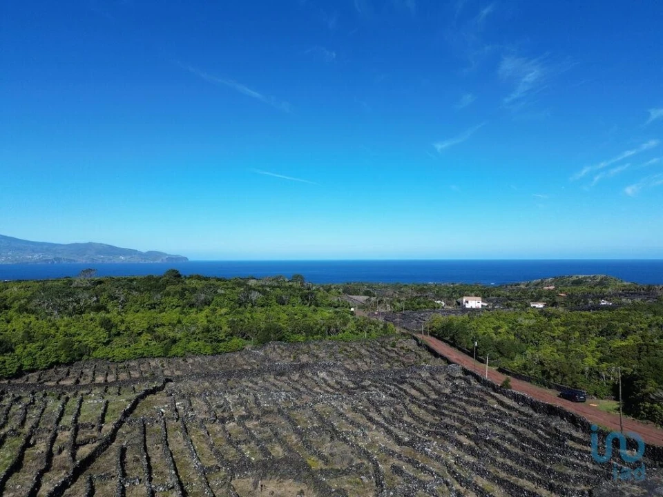 Terreno para Venda em Madalena Foto 2