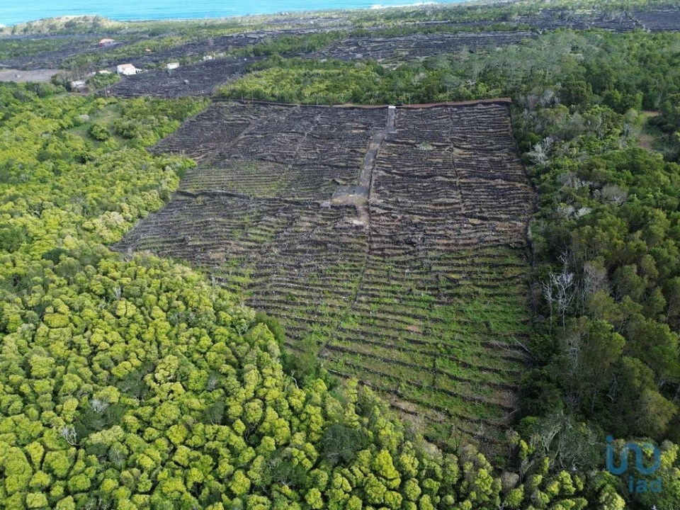 Terreno para Venda em Madalena Foto 4