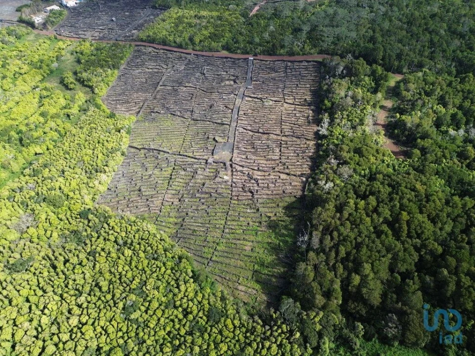 Terreno para Venda em Madalena Foto 11
