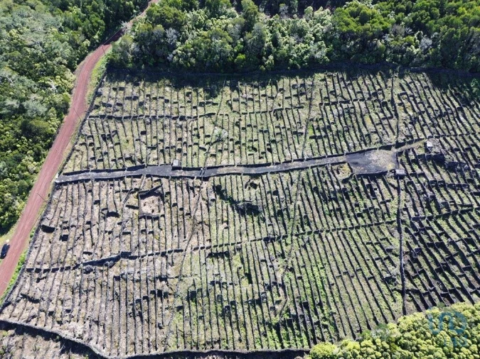 Terreno para Venda em Madalena Foto 7