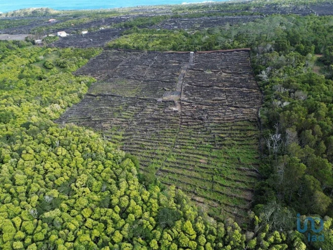 Terreno para Venda em Madalena Foto 4