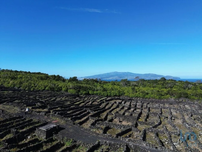 Terreno para Venda em Madalena Foto 8