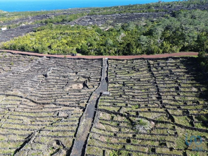 Terreno para Venda em Madalena Foto 5