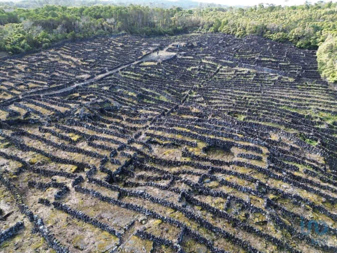 Terreno para Venda em Madalena Foto 10