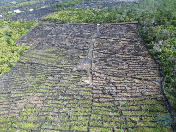 Terreno para Venda em Madalena Foto 3