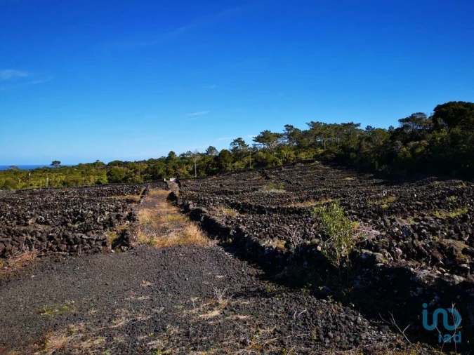 Terreno para Venda em Madalena Foto 6