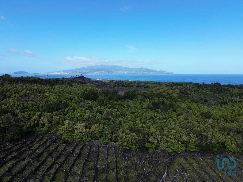 Terreno para Venda em Madalena Foto 9