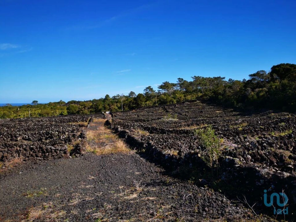 Terreno para Venda em Madalena Foto 6