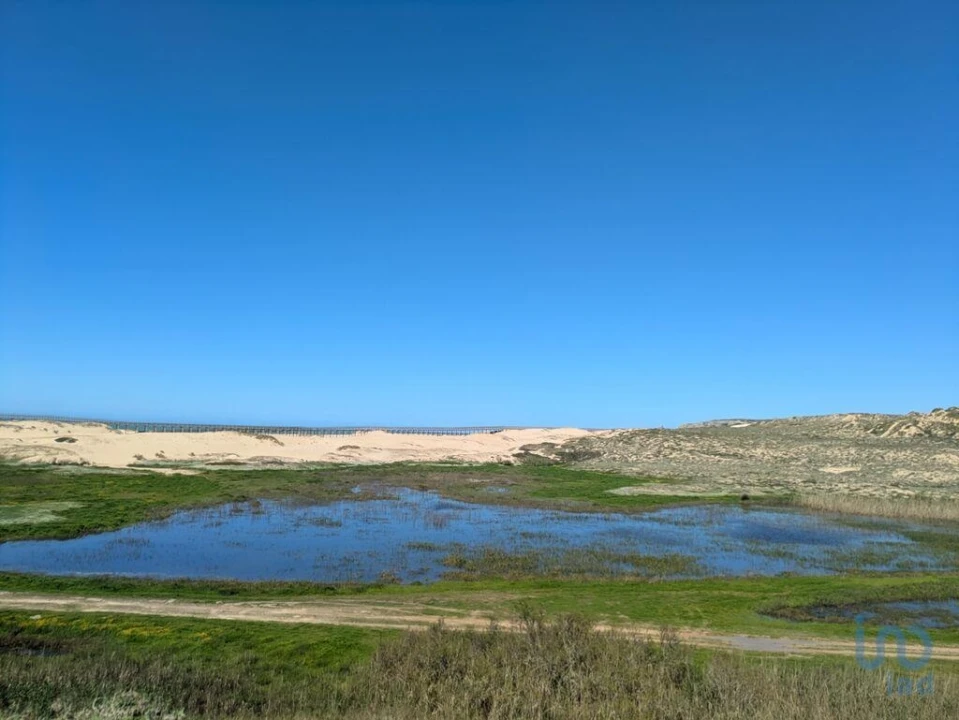 Terreno para Venda em São Pedro da Cadeira Foto 3
