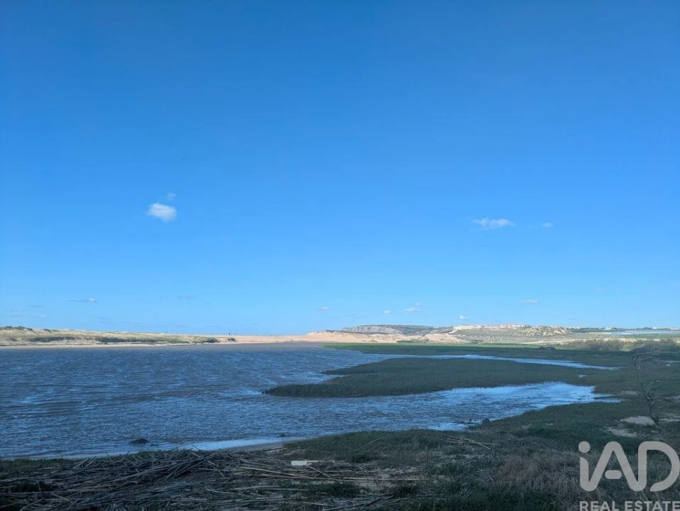 Terreno para Venda em São Pedro da Cadeira Foto 15