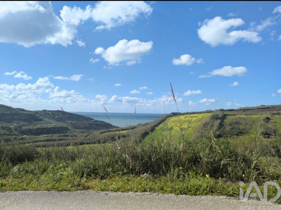 Terreno para Venda em São Pedro da Cadeira Foto 22