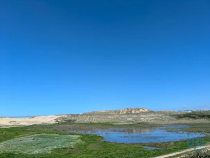 Terreno para Venda em São Pedro da Cadeira Foto 4