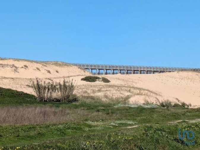 Terreno para Venda em São Pedro da Cadeira Foto 6