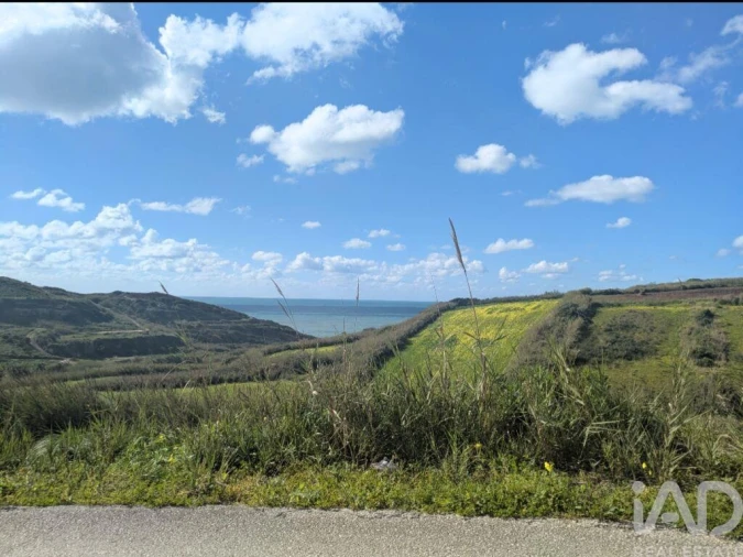 Terreno para Venda em São Pedro da Cadeira Foto 22