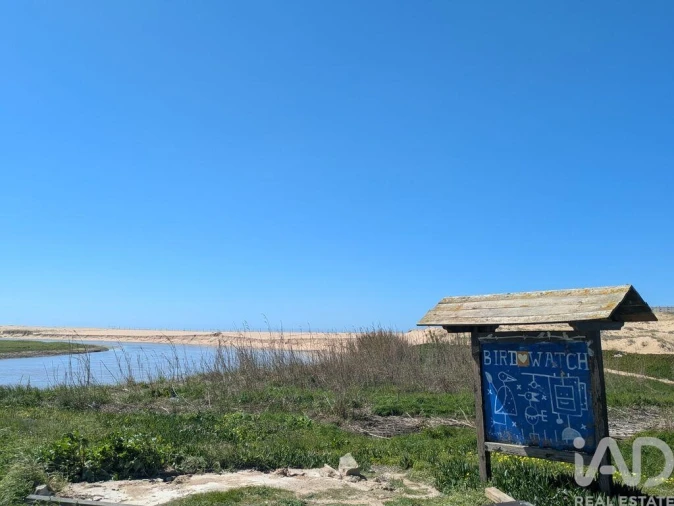 Terreno para Venda em São Pedro da Cadeira Foto 16